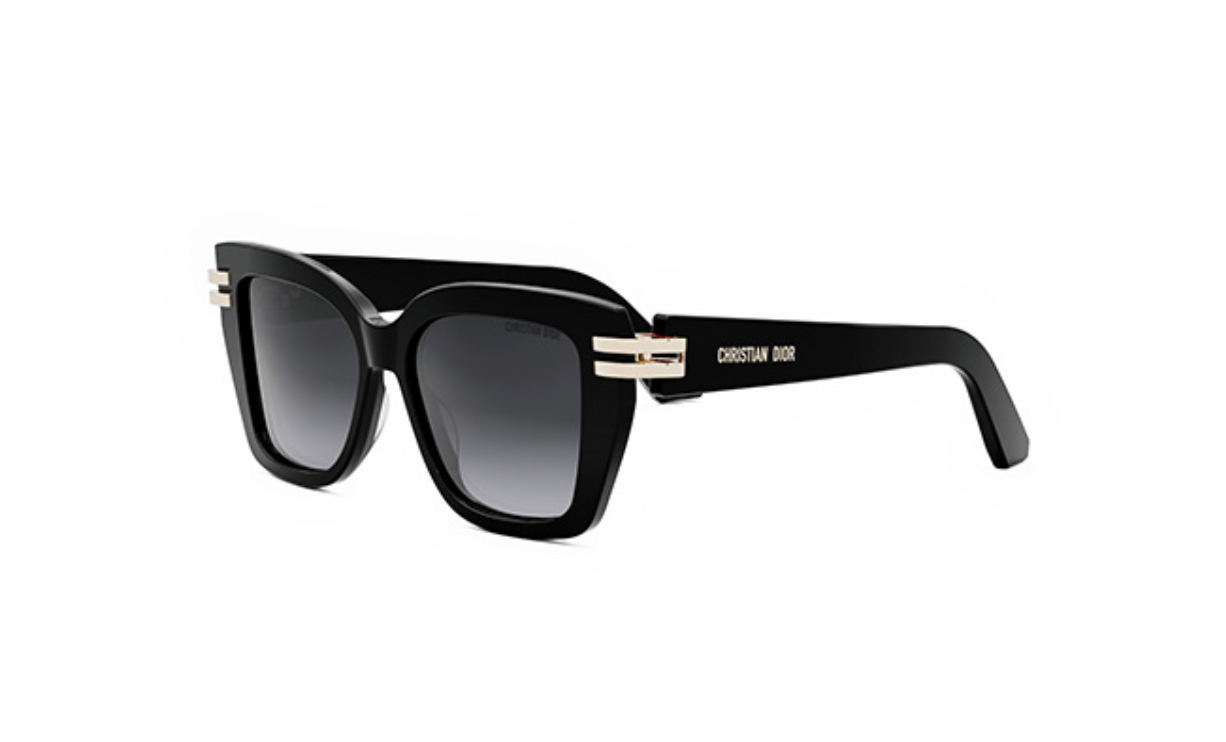 CDIOR S1I